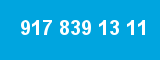 917 839 13 11